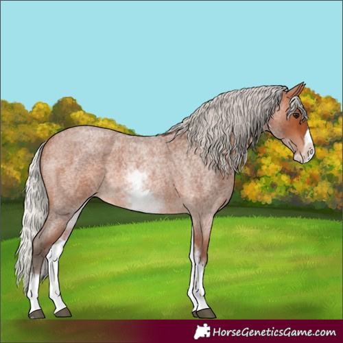 Horse Color:White Spotted Silver Bay Roan Splash 