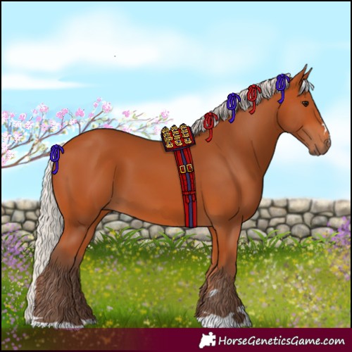 Horse Color:Silver Bay 