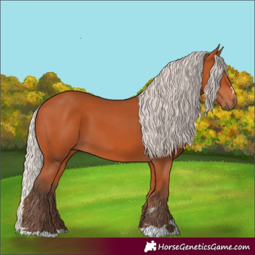 Horse Color:Silver Bay 