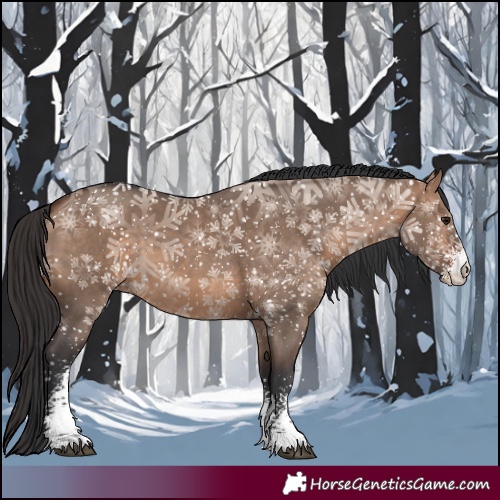 Horse Color:Bay Dun Sabino 