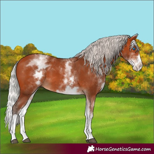 Horse Color:White Spotted Silver Bay Splash 