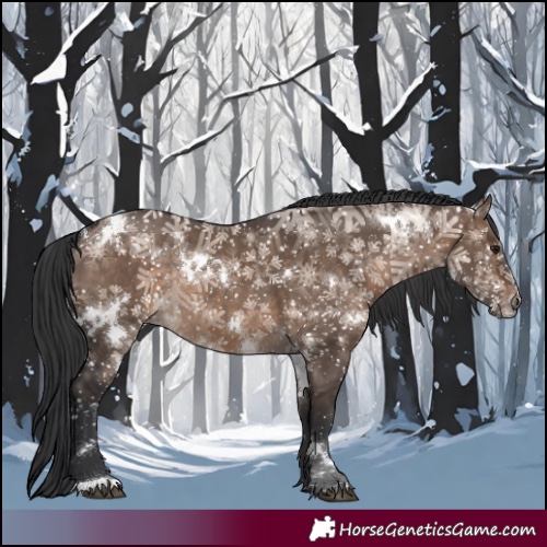 Horse Color:White Spotted Brown Dun Rabicano 