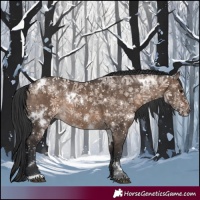 Horse Color:White Spotted Brown Dun Rabicano 