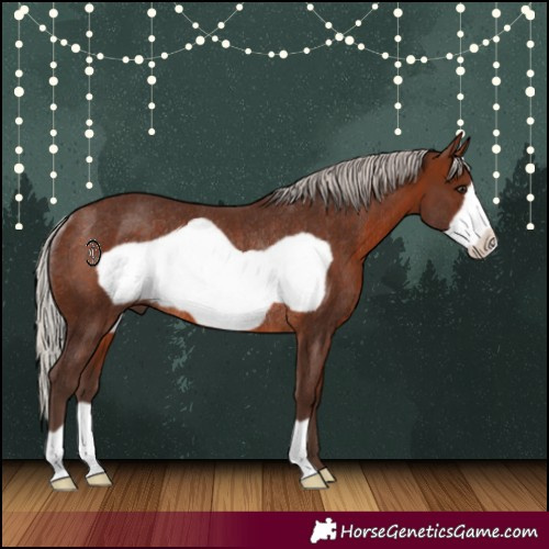 Horse Color:Silver Brown Frame Rabicano 