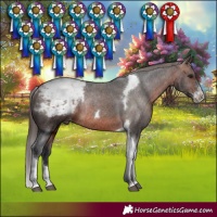Horse Color:Brown Sabino Tobiano Snowcap Rabicano