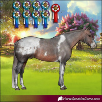 Horse Color:Brown Sabino Tobiano Appaloosa Rabicano 