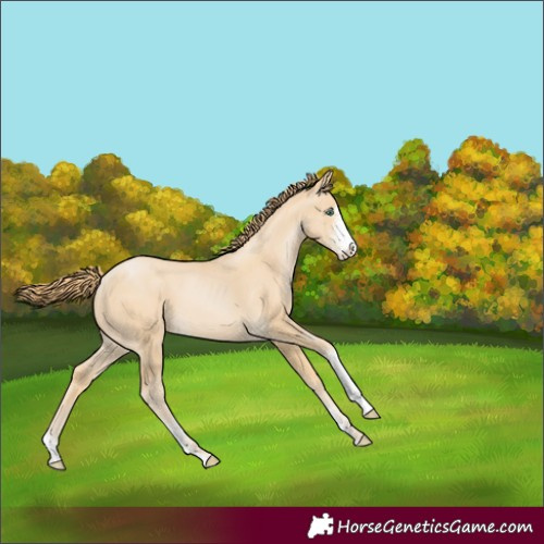 Horse Color:Smoky Black Pearl Sabino 
