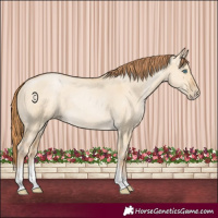Horse Color:Smoky Grullo Pearl Sabino Rabicano 