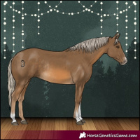 Horse Color:Chocolate Palomino Sabino Rabicano