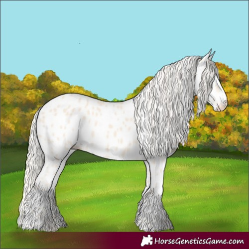 Horse Color:Cremello Appaloosa 