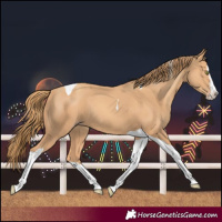 Horse Color:Gold Champagne Splash Tobiano
