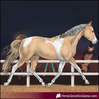 Horse Color:Gold Champagne Splash Tobiano 