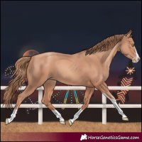 Horse Color:Gold Champagne Splash Tobiano