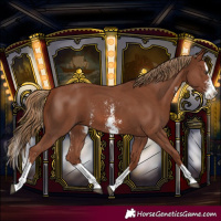 Horse Color:Chestnut Sabino Splash