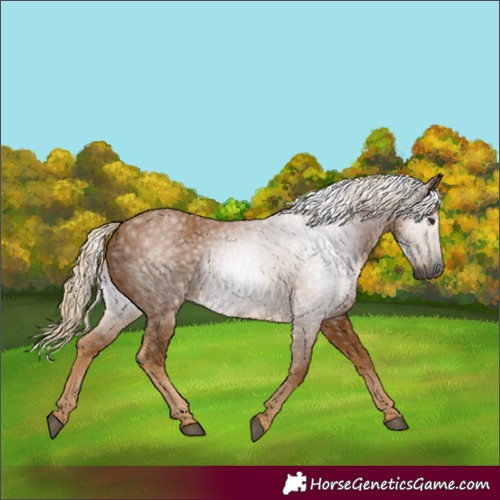 Horse Color:Gray Palomino 