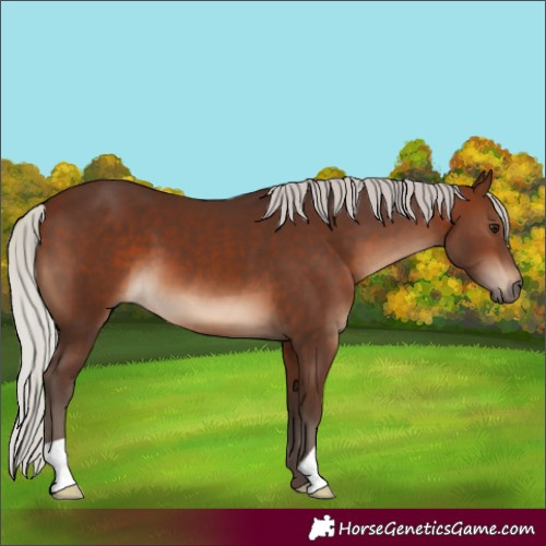 Horse Color:Silver Brown 