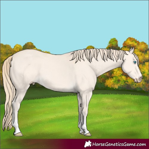 Horse Color:Perlino 