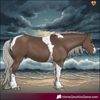 Horse Color:Silver Black Tobiano