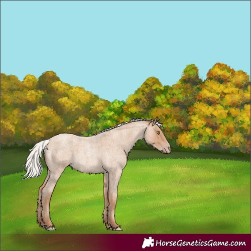 Horse Color:Silver Classic Champagne Roan 