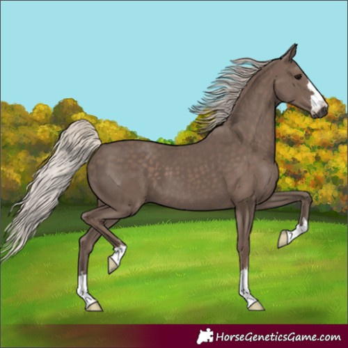 Horse Color:Silver Black 