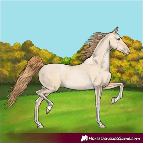 Horse Color:Smoky Grullo Pearl Tobiano 