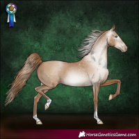 Horse Color:Gray Smoky Black Pearl 
