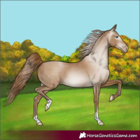 Horse Color:Gray Smoky Black Pearl 