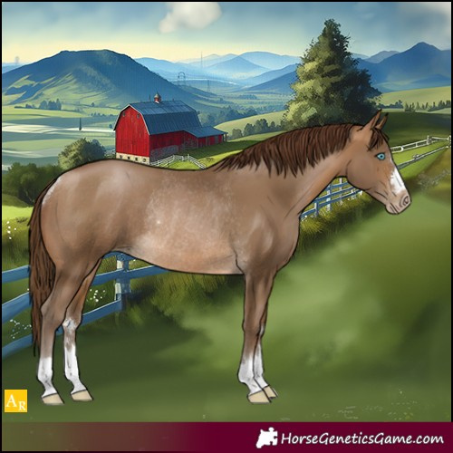 Horse Color:Gray Buckskin Pearl Rabicano 