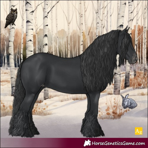 Horse Color:Black Appaloosa Rabicano