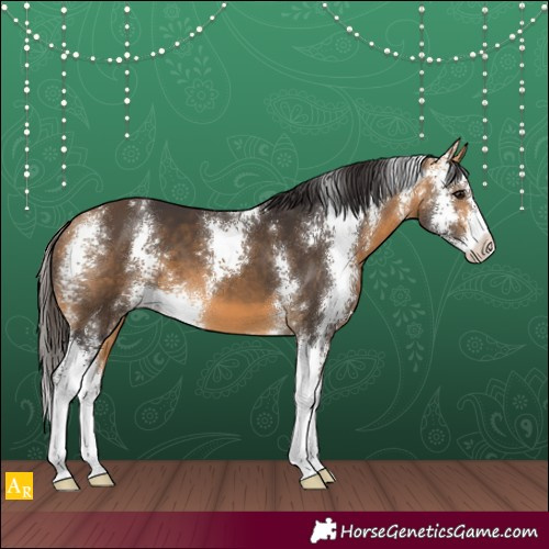 Horse Color:Buckskin Sabino 