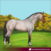 Horse Color:Bay Roan Tobiano