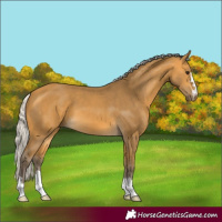 Horse Color:Silver Buckskin