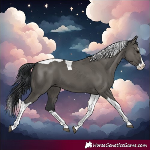 Horse Color:Grullo Splash Tobiano 