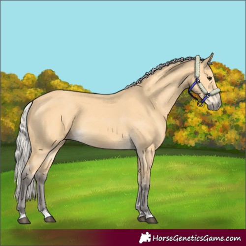 Horse Color:Silver Buckskin 