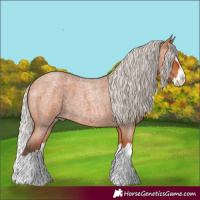 Horse Color:Silver Bay Roan Splash 