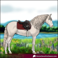 Horse Color:Smoky Creme 