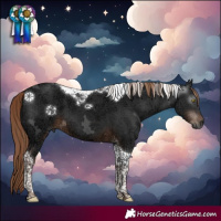 Horse Color:Gray Liver Chestnut Ice Tobiano 