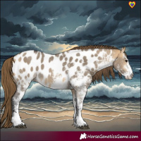 Horse Color:White Spotted Buckskin Dun Near Leopard 