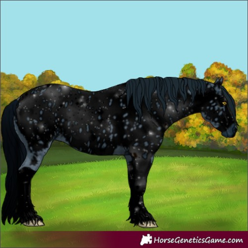 Horse Color:ERROR: UNKNOWN ANOMALY