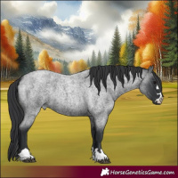 Horse Color:Blue Roan 