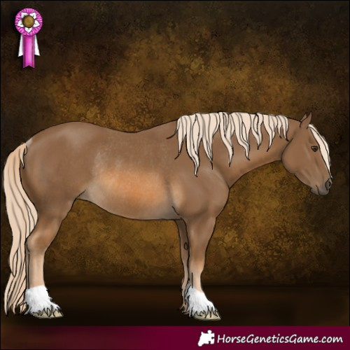 Horse Color:Chocolate Palomino Rabicano