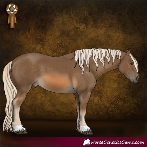 Horse Color:Chocolate Palomino 