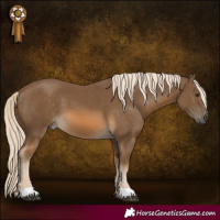 Horse Color:Chocolate Palomino