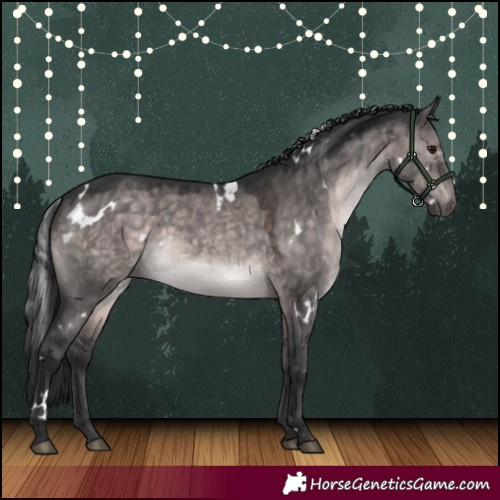 Horse Color:Platinum White Spotted Brown Dun 