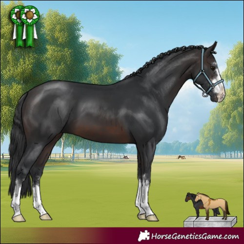 Horse Color:Brown 