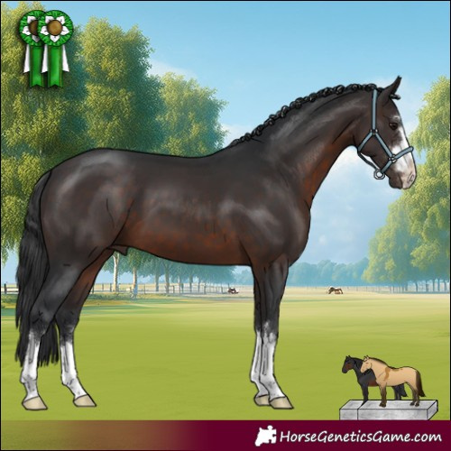 Horse Color:Brown 