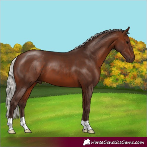 Horse Color:Silver Brown 