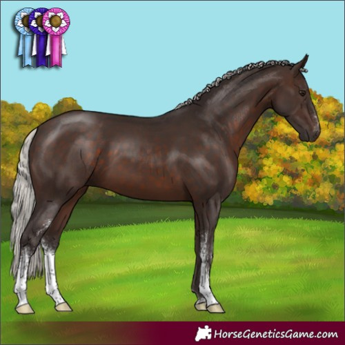 Horse Color:Silver Brown Sabino 
