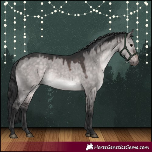 Horse Color:Platinum Brown Dun