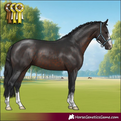 Horse Color:Brown 